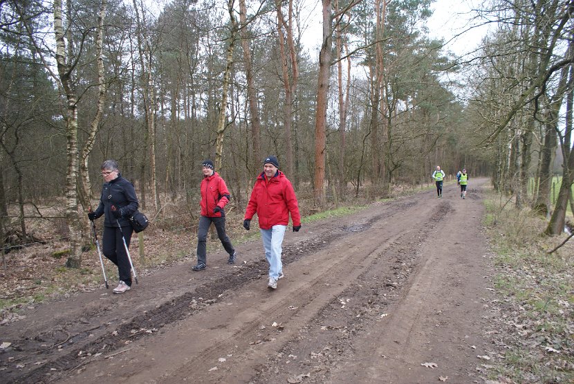 Bosloop Brecht - 17
